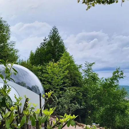 Hotel Les Bulles Du Coq De Champagne à Dormans Extérieur photo