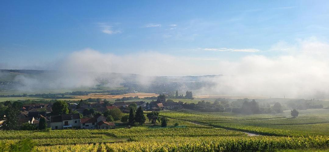 Les Bulles Du Coq De Champagne * Dormans