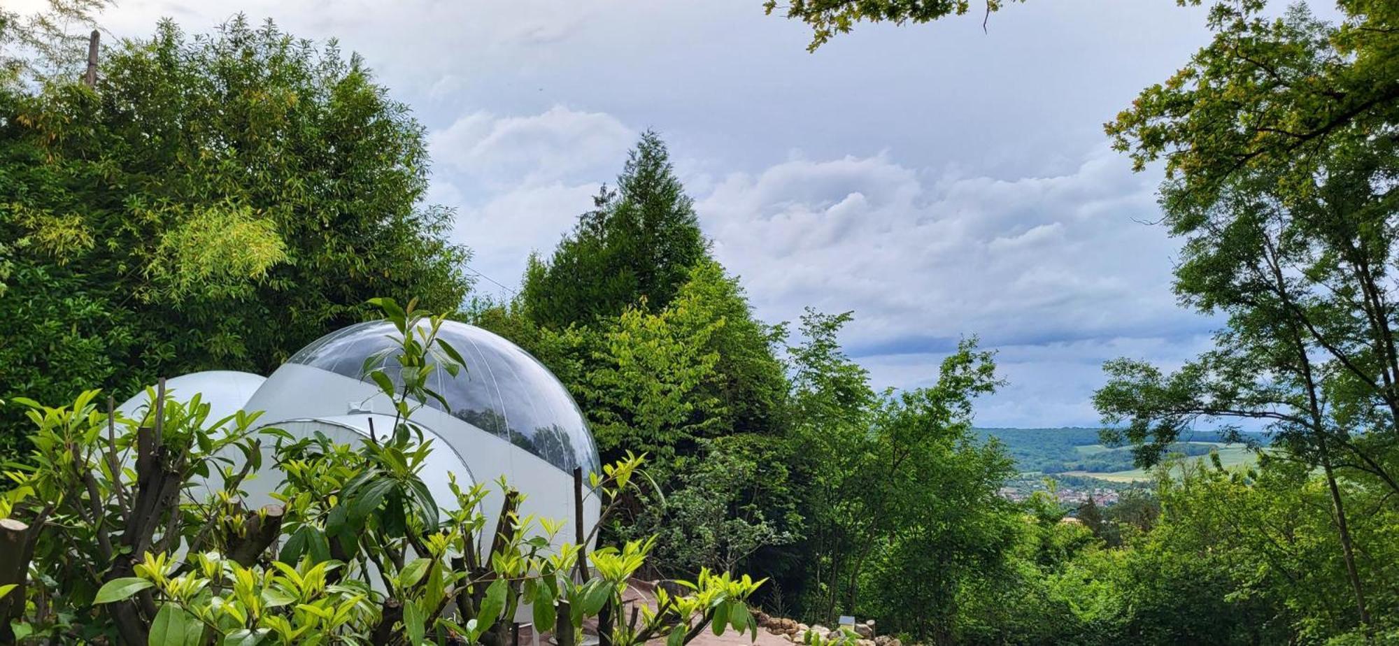 Les Bulles Du Coq De Champagne *